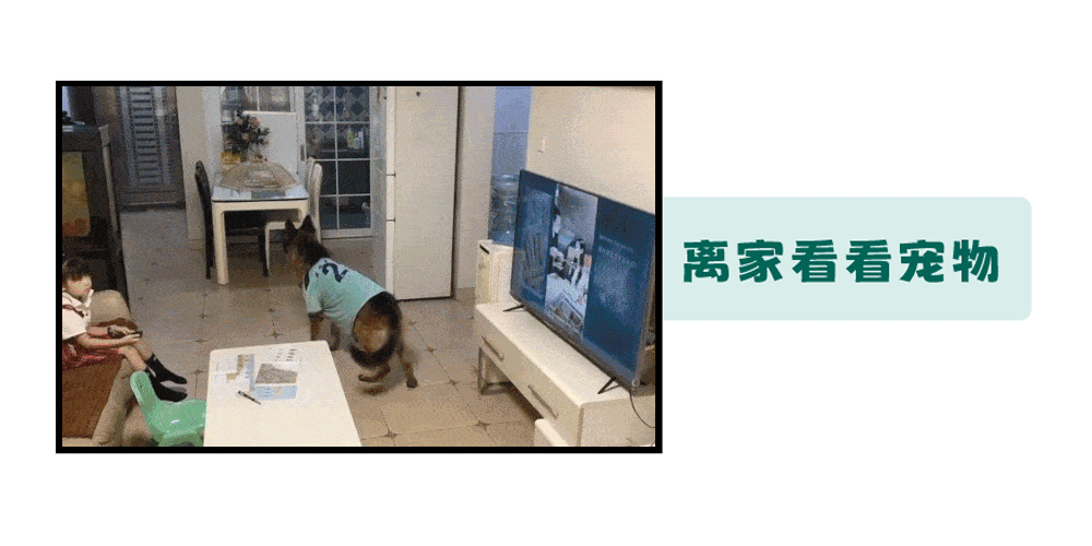 家用攝像頭到底有多危險？小網站們可能正在直播你的隱私！(圖4)